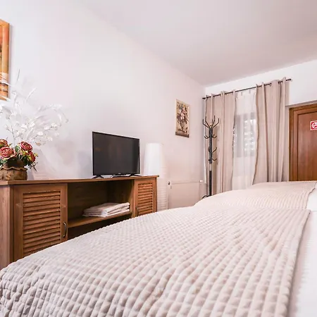 Pensiunea Venus فندق مبيت وإفطار تيميشورا