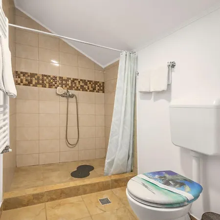 Pensiunea Venus فندق مبيت وإفطار تيميشورا