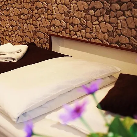 Pensiunea Venus تيميشورا