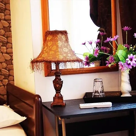 Pensiunea Venus 3* تيميشورا