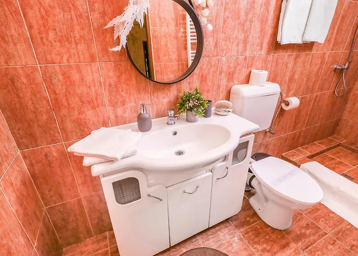 Bed & Breakfast Pensiunea Venus Timisoara