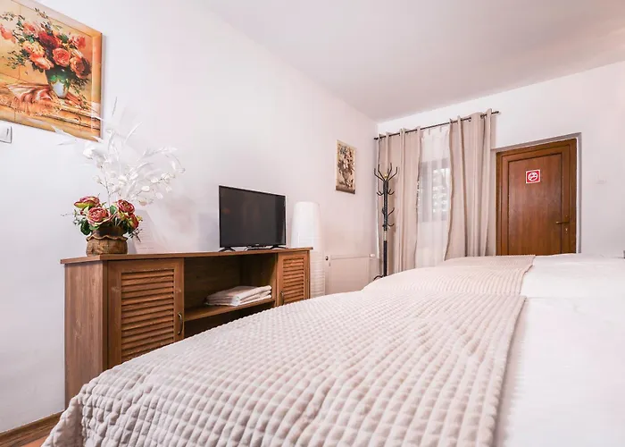 Pensiunea Venus Bed & Breakfast Timisoara