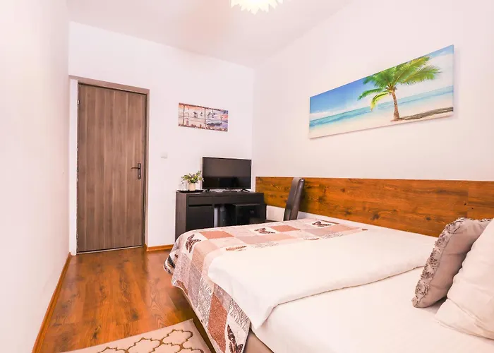 Pensiunea Venus Timisoara