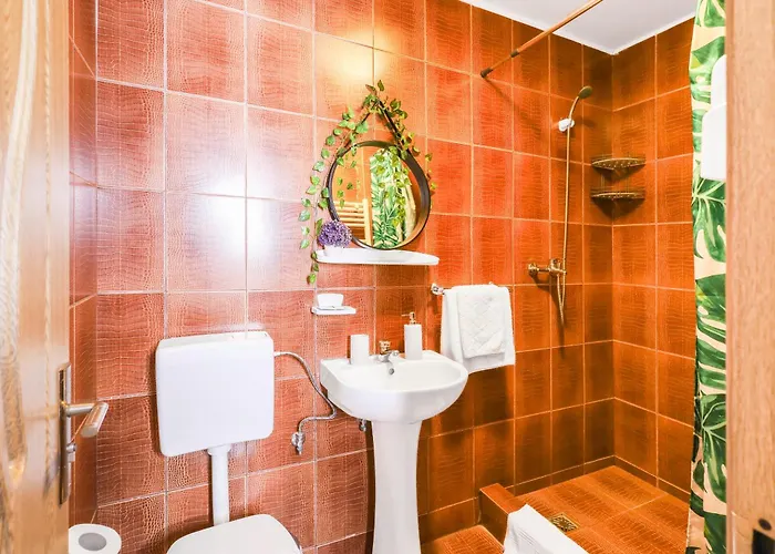 Pensiunea Venus Timisoara