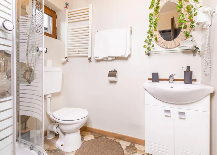 Pensiunea Venus Timisoara