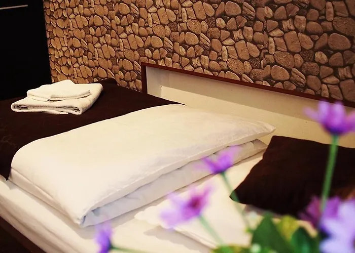 Pensiunea Venus Timisoara