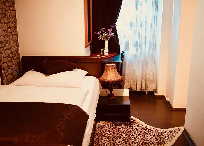 Pensiunea Venus Timisoara