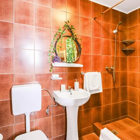 Pensiunea Venus Timişoara