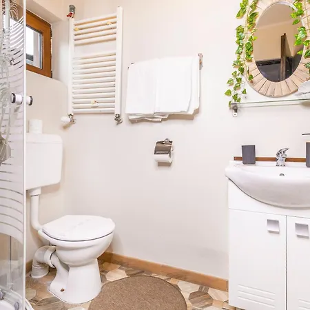 Pensiunea Venus Timişoara