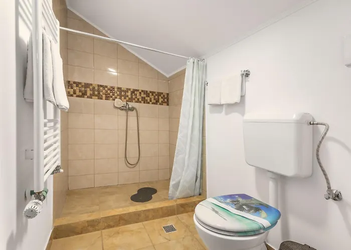 Pensiunea Venus Bed and Breakfast Τιμισοάρα