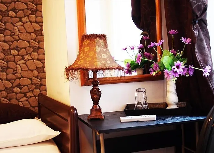 Pensiunea Venus 3* Τιμισοάρα